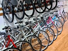 -捷安特自行车(文慧桥店)