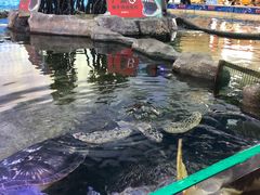 -鸿通城购物中心