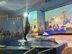 -太平洋海底世界