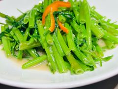 -阿诚市井潮汕菜(金台路店)