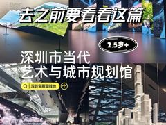 -深圳市当代艺术与城市规划馆