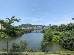 -三亚珠江南田温泉度假区