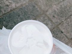 -洪馨椰子