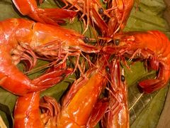 -广州富力君悦大酒店空中花园