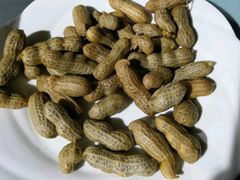 盐水花生-马胖龙虾烧烤