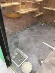 -神奇动物撸宠馆·羊驼·小浣熊·异宠(豫园店)