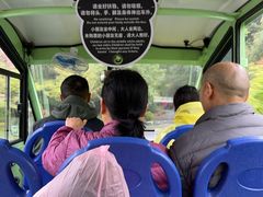 -中国大熊猫保护研究中心雅安碧峰峡基地