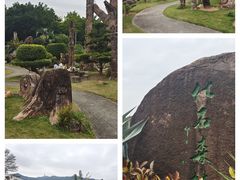 -深圳市中科院仙湖植物园