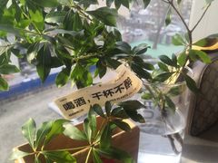 -日上三甘(三里屯店)