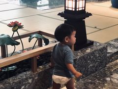 -南宫温泉水世界