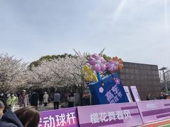 -高东镇樱花园