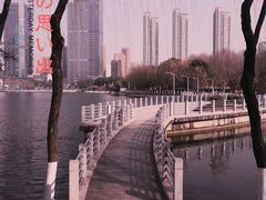 -后襄河公园