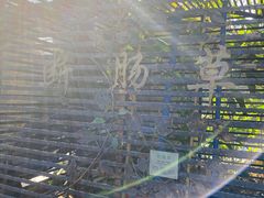 -广州神农草堂中医药博物馆