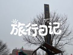 -茯茶镇