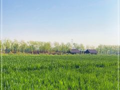 -永定河休闲森林公园