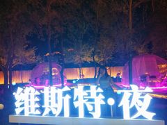 -维斯特·夜烤牛肋条任吃