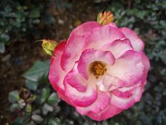 -人民公园(罗湖区)