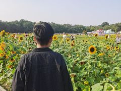-北陵公园