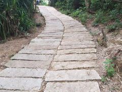 -那琴半岛地质海洋公园