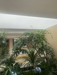 点击看大图 -四川娇点医学美容医院