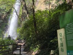 -莫里热带雨林景区