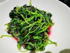 清炒豌豆尖-俏江南(东方广场店)