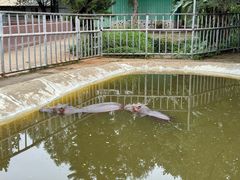-东莞香市动物园