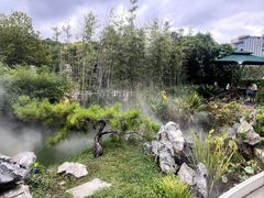 -十二厨·土菜雅院