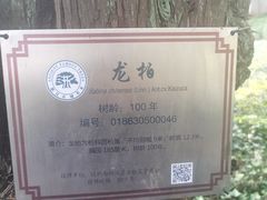 -西湖外事游船(花港观鱼码头)