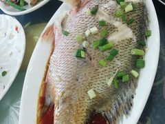 -七鲜渔港美食餐厅(巽寮湾海景店)