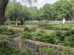 -黑龙江省森林植物园