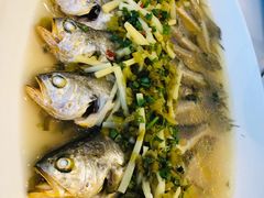 -高老庄新家宴(北斗星广场店)