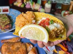 -Famous肥猫墨西哥音乐餐吧(五棵松华熙LIVE店)