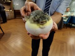 -肆月河豚·新淮扬(金融街店)