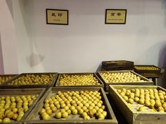 -陈李济中药博物馆