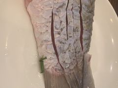 -正能量脆肉鲩火锅