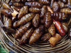 -昆虫窝子·特色云南菜(拓东路总店)