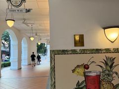 -Long Bar(莱佛士酒店)