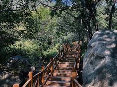 -大岭沟猕猴桃谷风景区