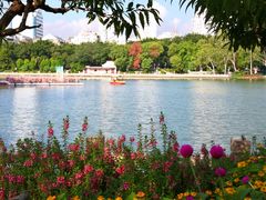 -西湖公园(鼓楼区)