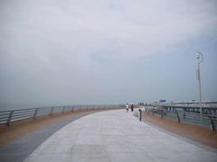 -演武大桥观景平台