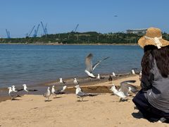 -海驴岛(荣成市)