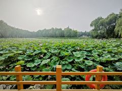 -东升八家郊野公园