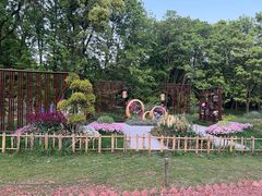 -上海共青森林公园