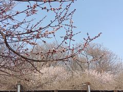 -南翠屏公园