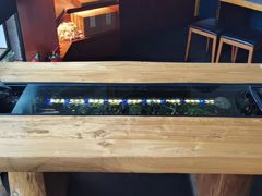 -红糖水都·女生特炖·中式滋补炖(北辰店)