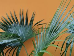 -LA MATCHA抹茶吧(进贤路店)