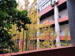 -重庆工商大学(南岸校区)