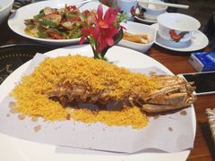 -顺德了能馆(虎门店)