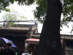 -定家小酥肉·清真(回民街店)